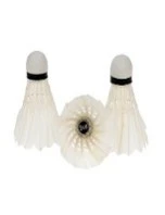 FEATHER SHUTTLECOCK 6PCS