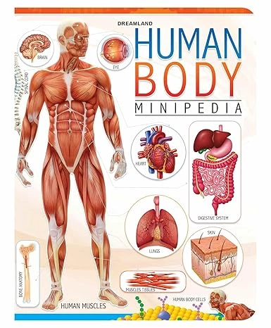 HUMAN BODY MINIPEDIA DREAMLAND BOOKS