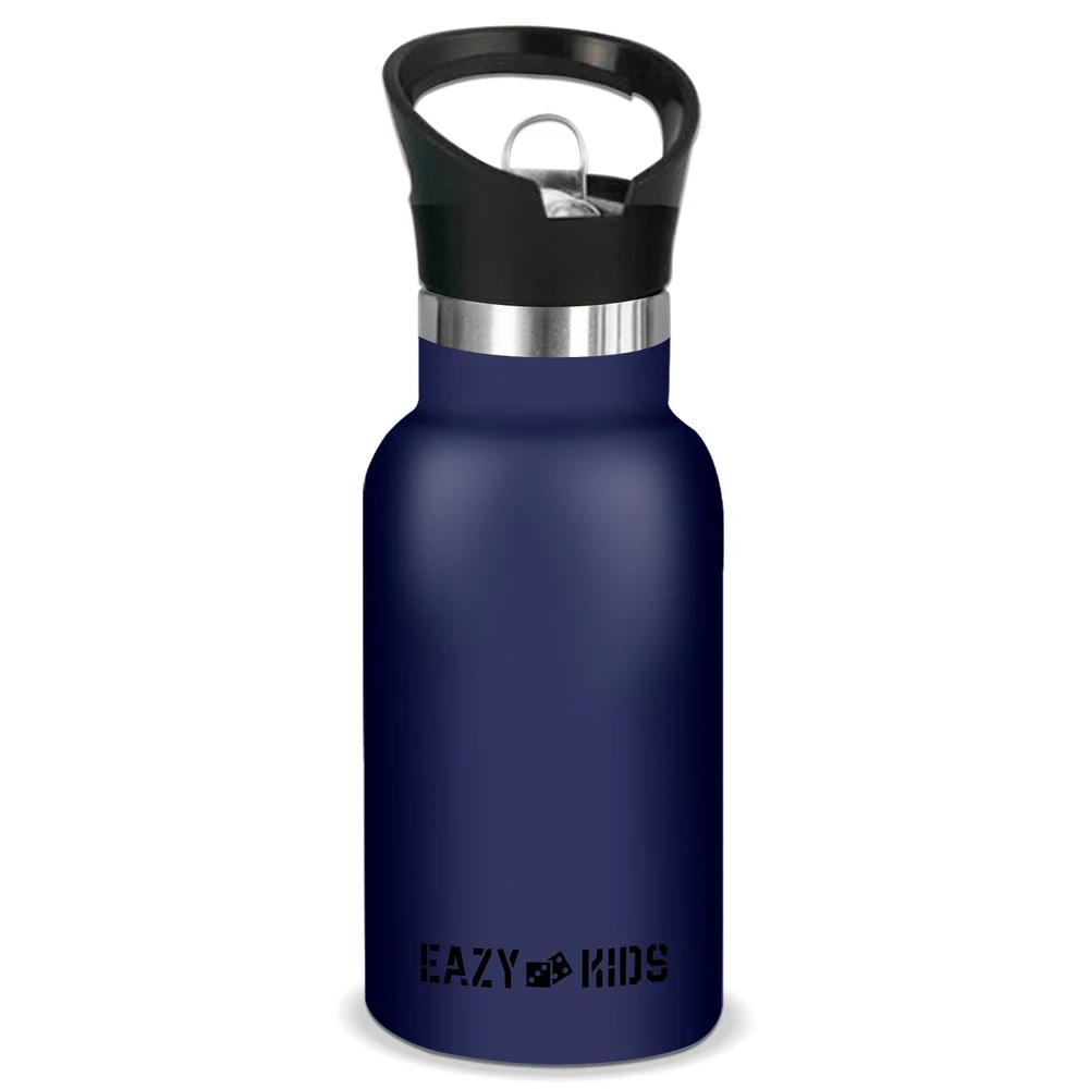 Stainless Steel Water Bottle 350ml - Blue