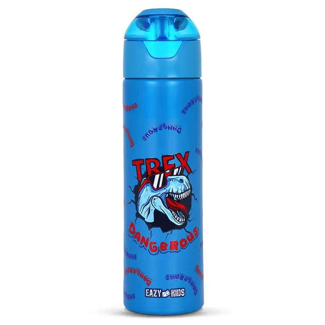 Kids Insulated Steel Water Bottle with Spray Dino, 640ml