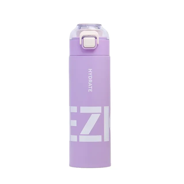 Double Wall Insulated Travel Water Bottle - Purple, 550ml"