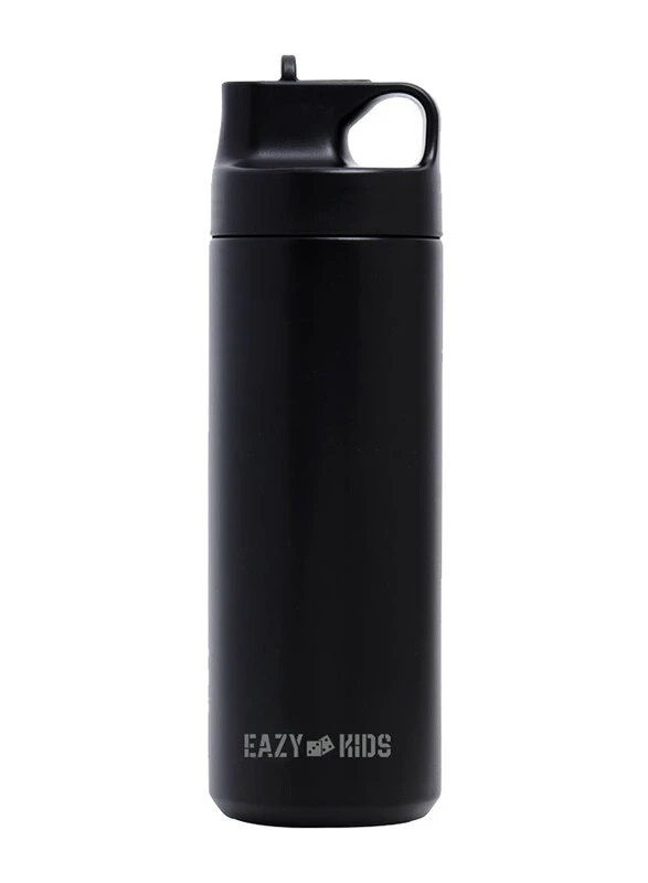 Insulated Sports Water Bottle - Black, 550ml