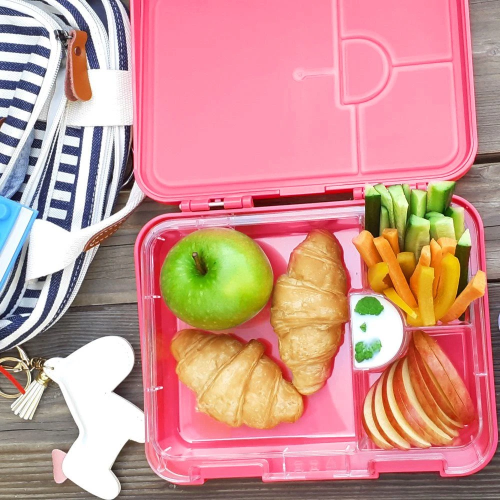 4 & 6 Convertible Bento Lunch Box with Stainless Steel 400ml Water Bot