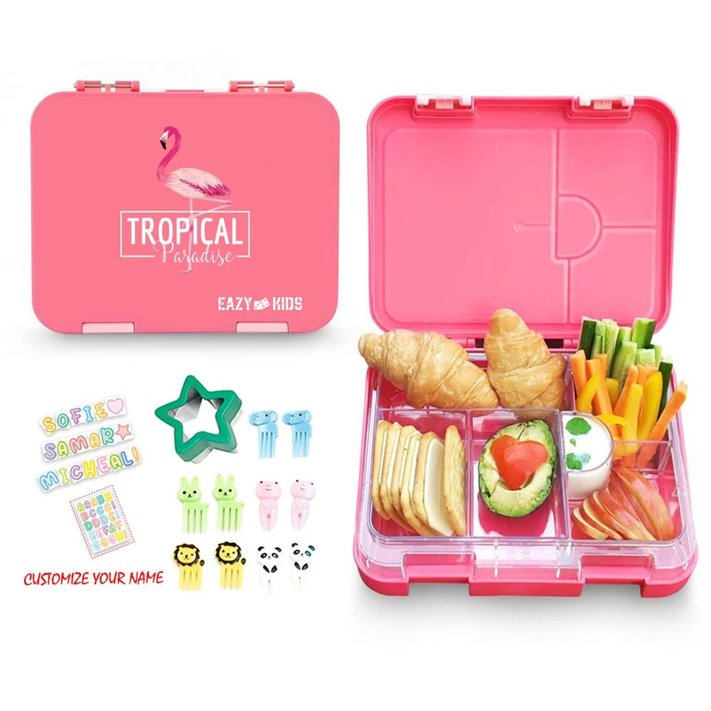 6 & 4 Convertible Bento Lunch Box with Stainless Steel 400ml Water Bottle
